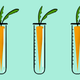 Image for article titled GMO Food Isn’t Coming to Get You—It’s Been Here All Along